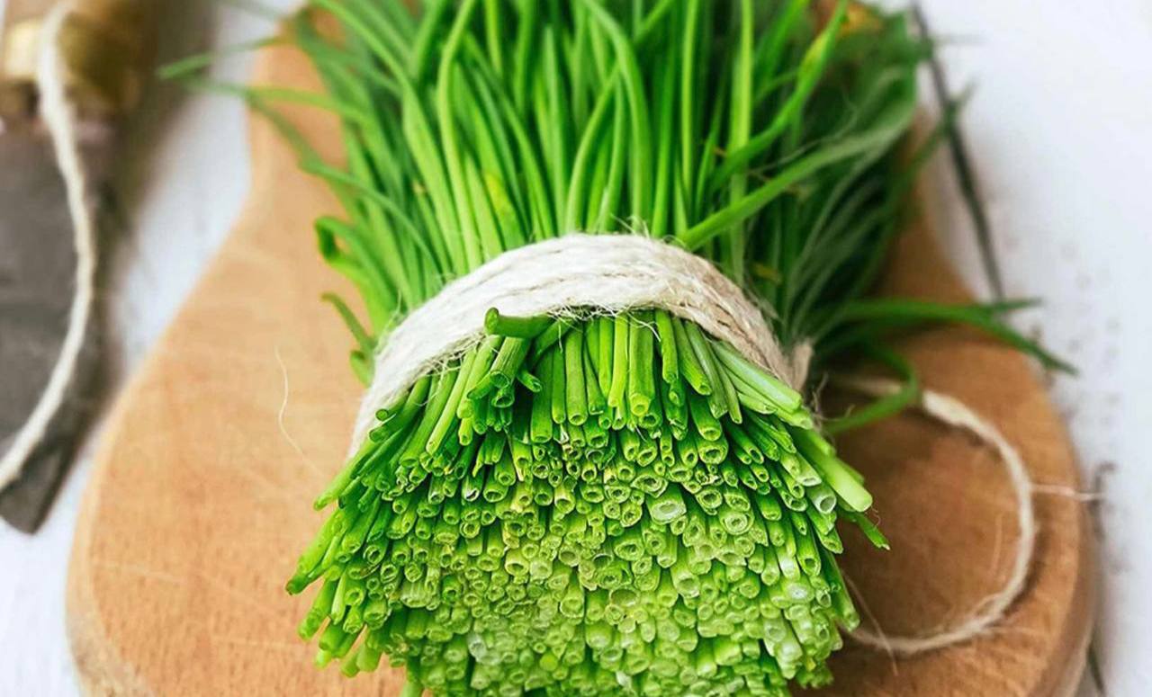 ¡Las propiedades beneficiosas de la cebolla! El contenido de sustancias